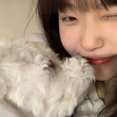 lyt狼人杀助手最新版下载